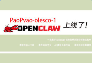 Read more about the article PaoPao_olesco_1上线了！